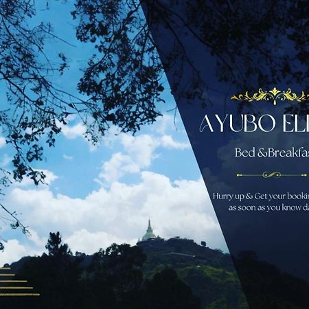Ayubo Ella - Bed & Breakfast 外观 照片