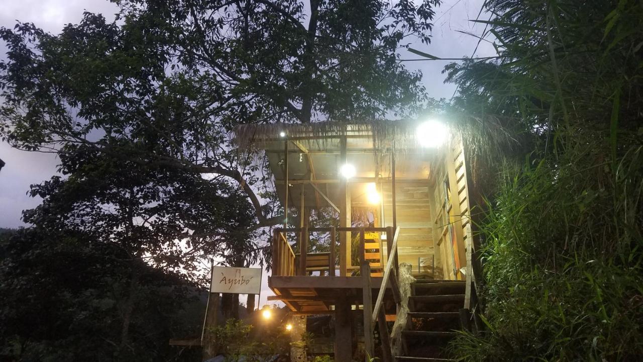 Ayubo Ella - Bed & Breakfast 外观 照片