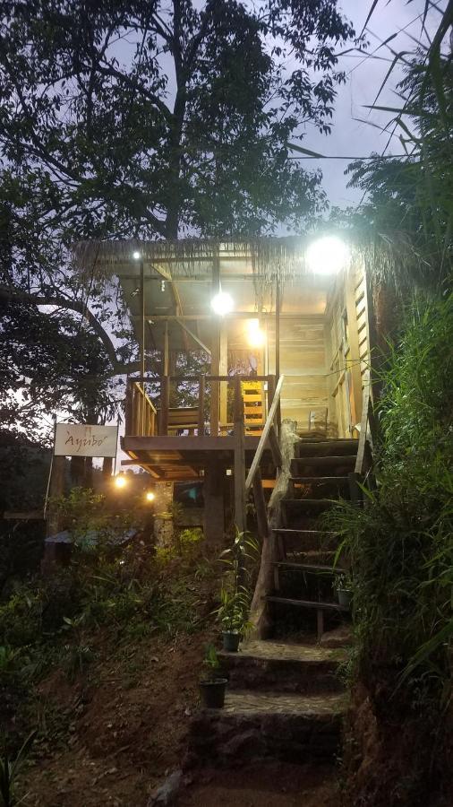Ayubo Ella - Bed & Breakfast 外观 照片